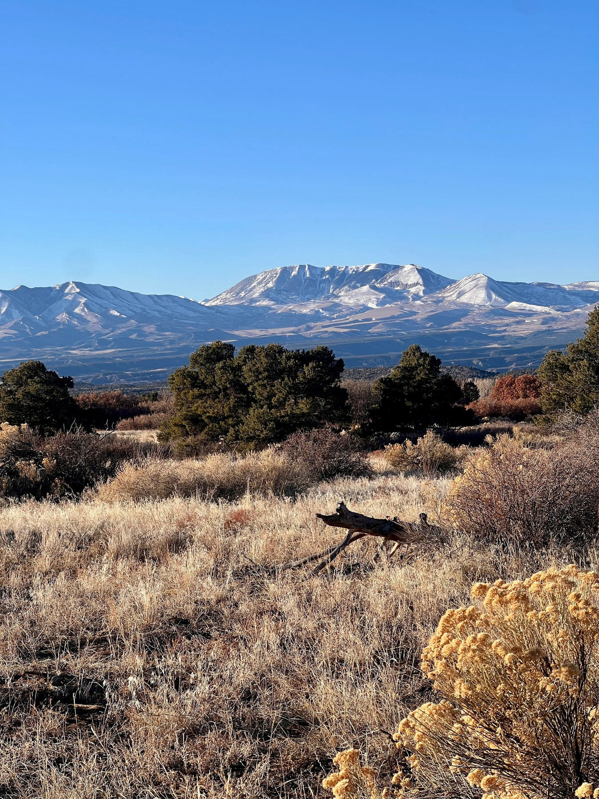 Colorado mountain landscape at Mountain Water in Southern Colorado