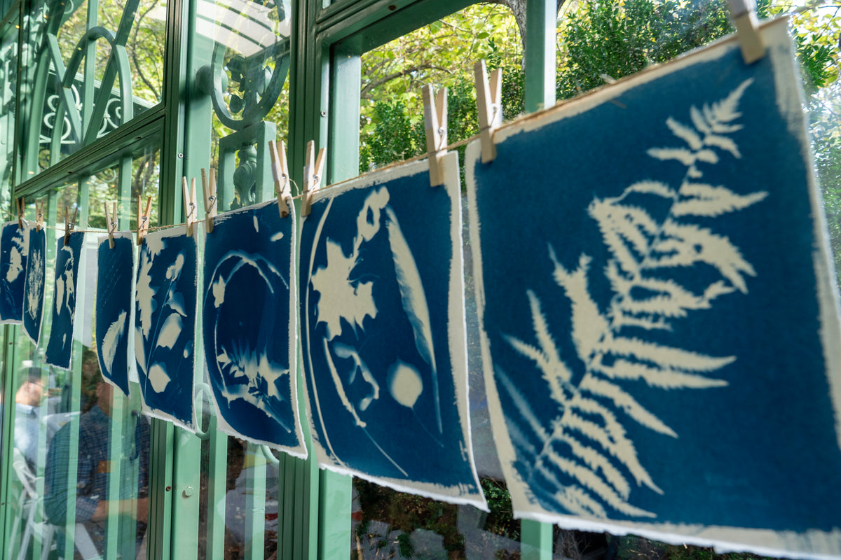 Guests at a Death Cafe creative gathering at Denver Botanic Gardens hosted by Matty Miller Studio