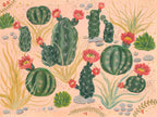 Cactus Garden I, Desert Cactus Botanical Art Print by Matty Miller