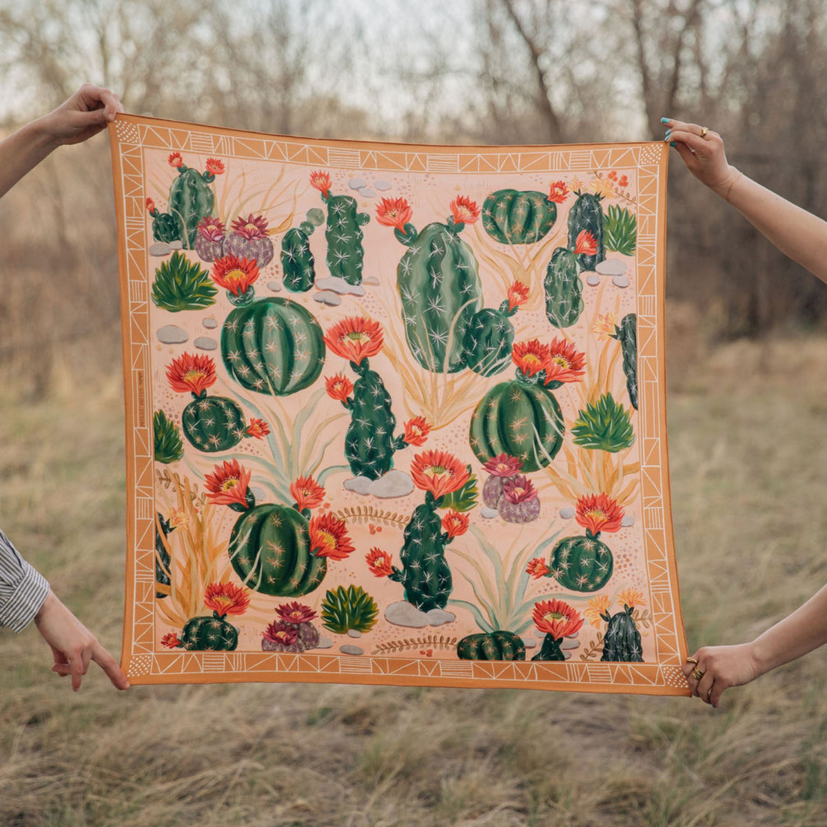 Cactus Garden 100% silk scarf, Desert Botanical Pattern by Matty Miller, held open outdoors