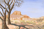 Capitol Reef Canopy, Utah Western Landscape Art Print by Matty Miller