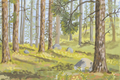 Deep Forest Montana, Lake Como Forest Landscape Art Print by Matty Miller