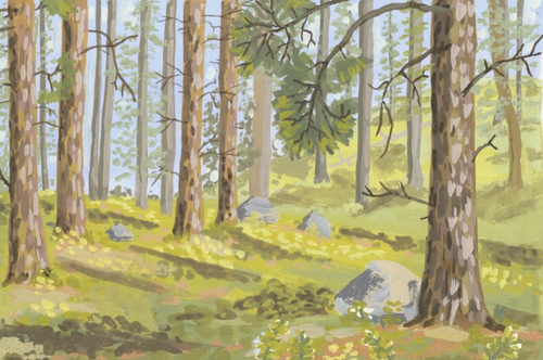 Deep Forest Montana, Lake Como Forest Landscape Art Print by Matty Miller