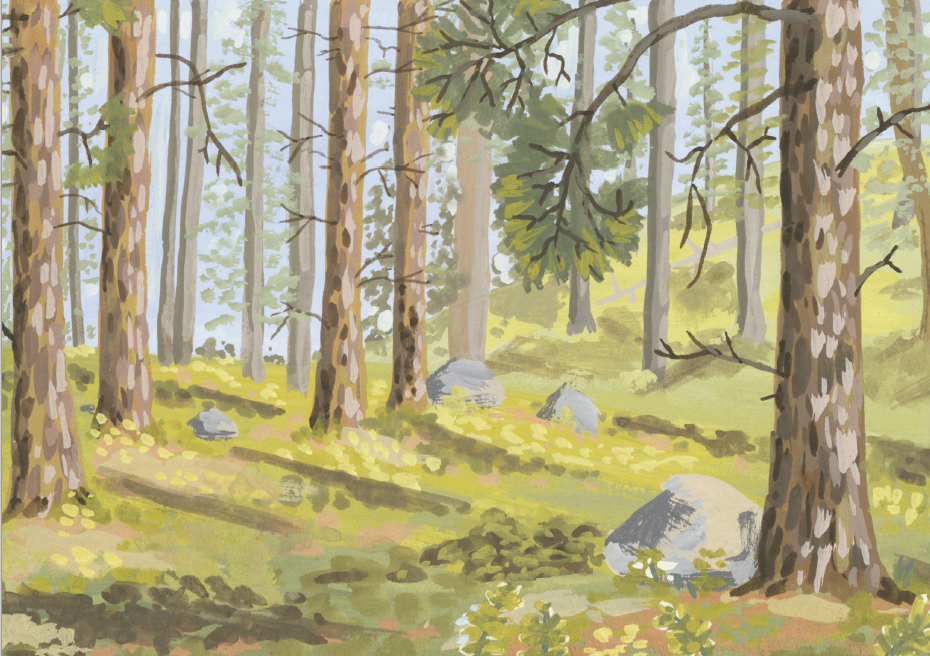 Deep Forest Montana, Original Lake Como Forest Landscape Painting by Matty Miller