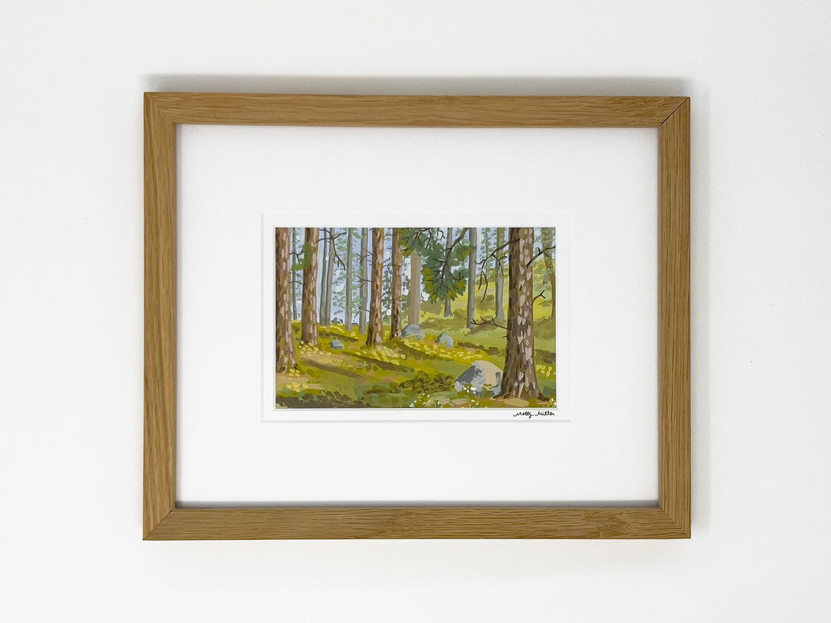 Deep Forest Montana, Original Lake Como Forest Landscape Painting by Matty Miller