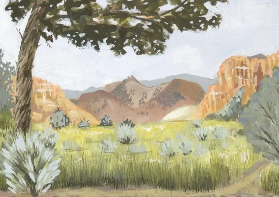 Evening Shade Clearwater, Wapiti WY Landscape Art Print by Matty Miller