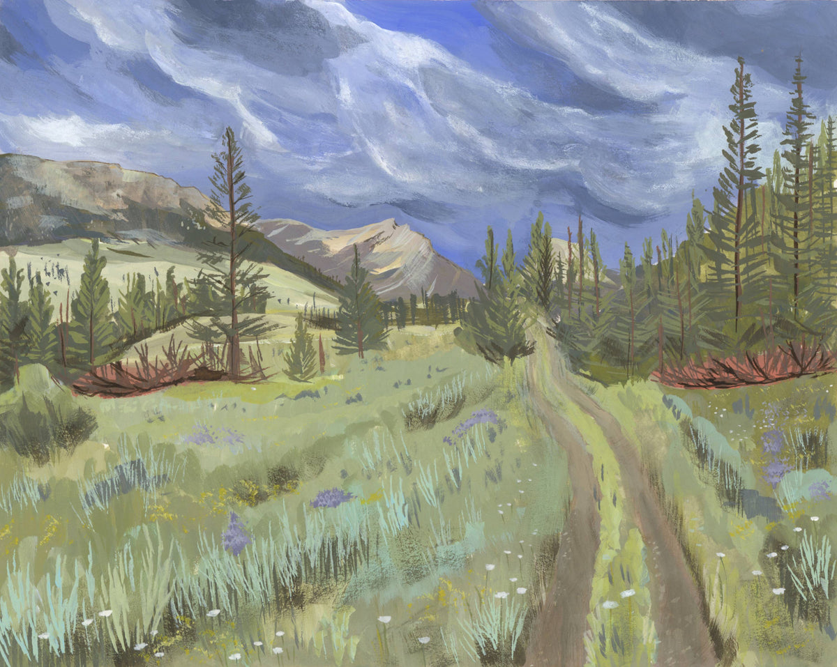 Green River Road, Wyoming Wilderness Landscape Art Print by Matty Miller