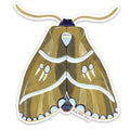 Moth Sticker by Matty Miller