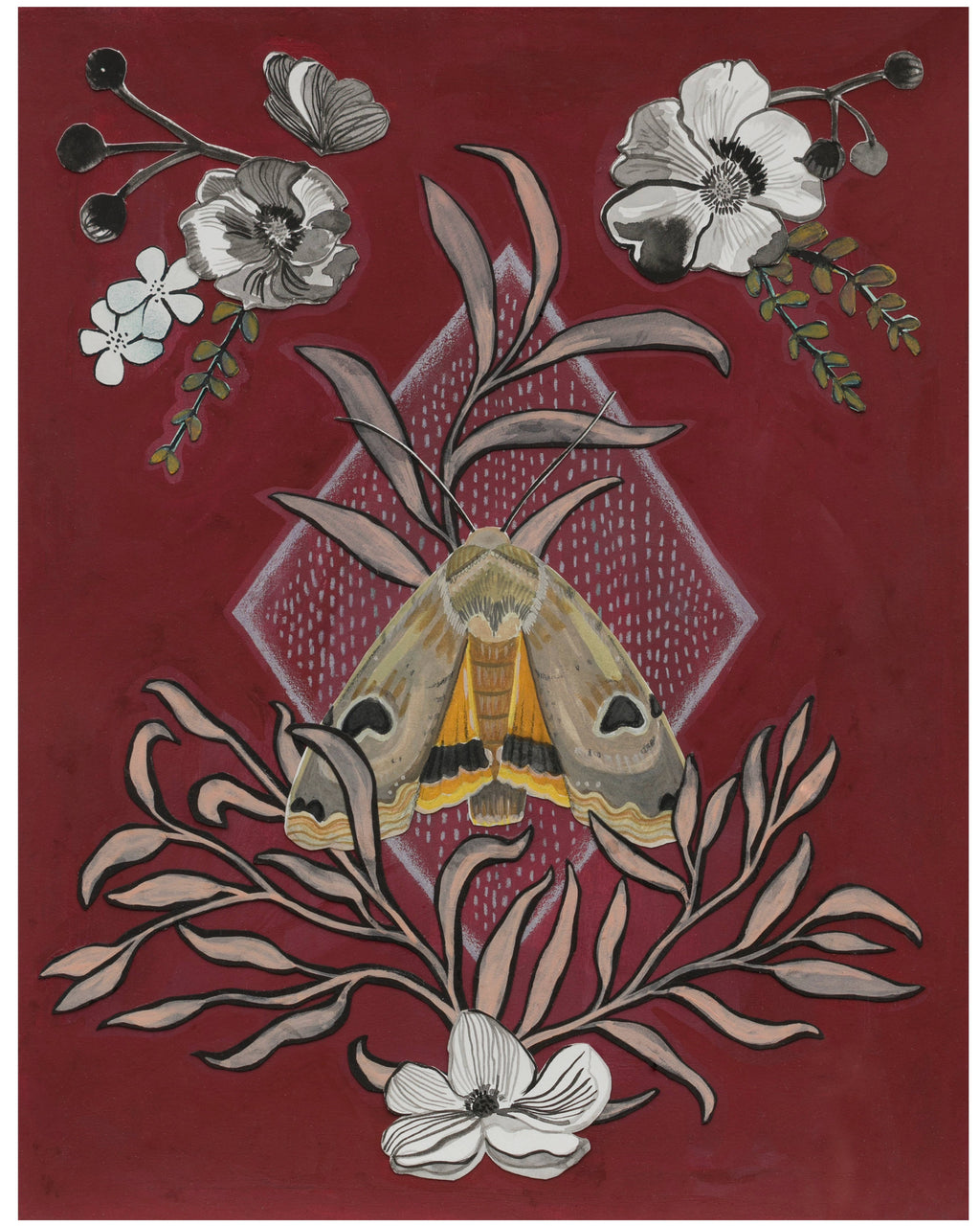 Night Pollinator, Moth Botanical Art Print by Matty Miller