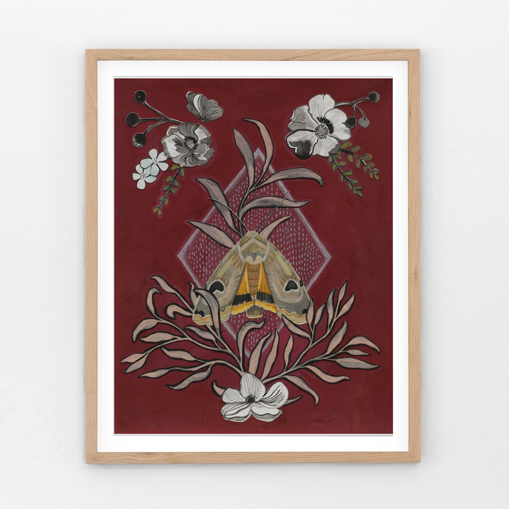 Night Pollinator, Moth Botanical Art Print by Matty Miller