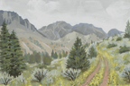 Silent Symphony, Wapiti WY Wildflower Landscape Art Print by Matty Miller