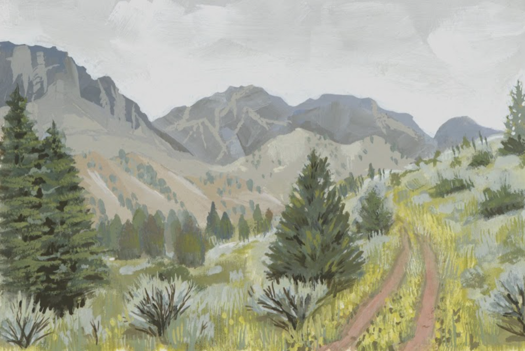 Silent Symphony, Wapiti WY Wildflower Landscape Art Print by Matty Miller